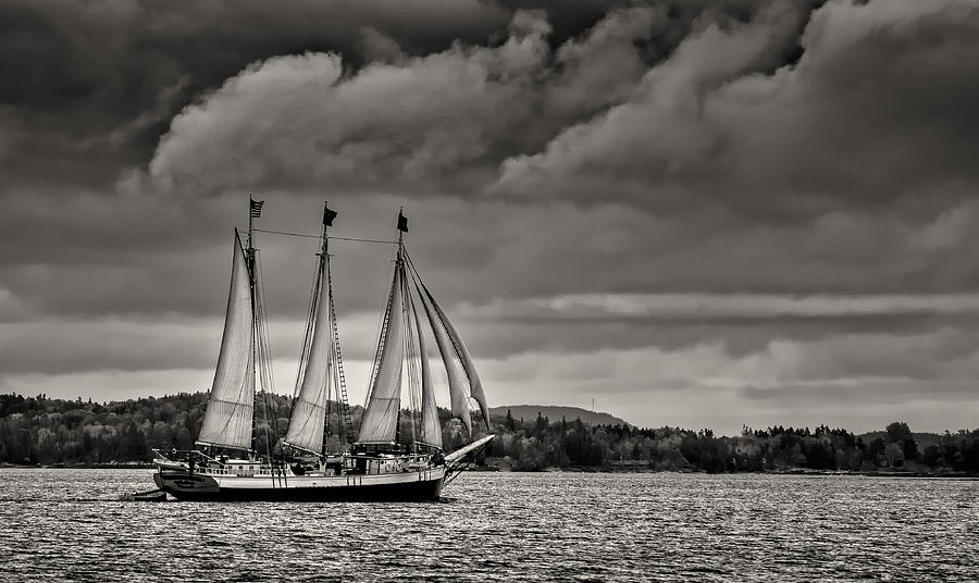 Sail Away Photograph by Fred LeBlanc