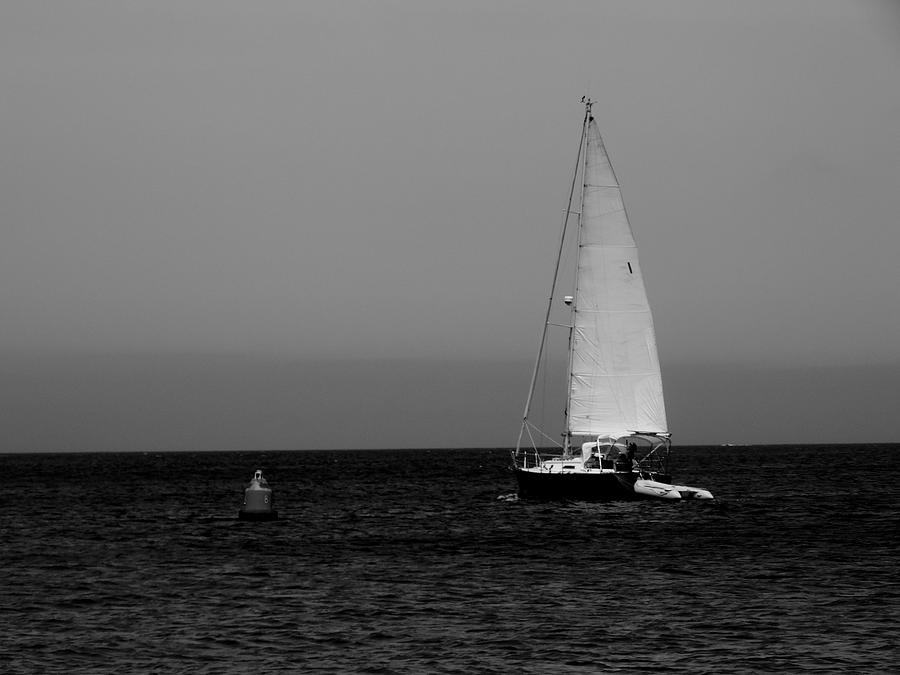 Sail Away Photograph by Hannah Nagel - Fine Art America