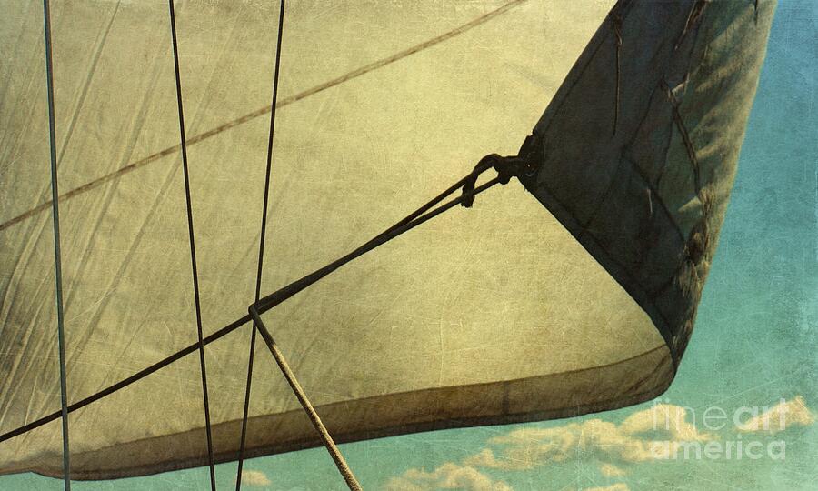 Sail Away Photograph by Patricia Strand