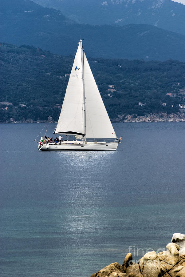 Sail boat Photograph by Luciano Mortula