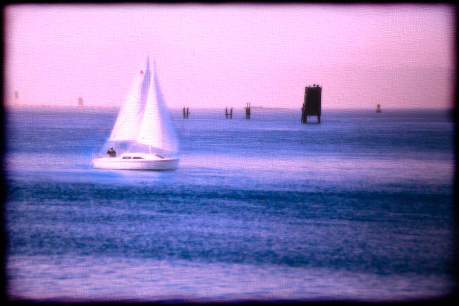 Sail Boat Photograph by Sally Bauer