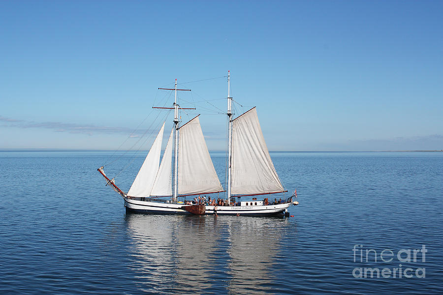 Summer Photograph - Sail Boat by Sara  Meijer