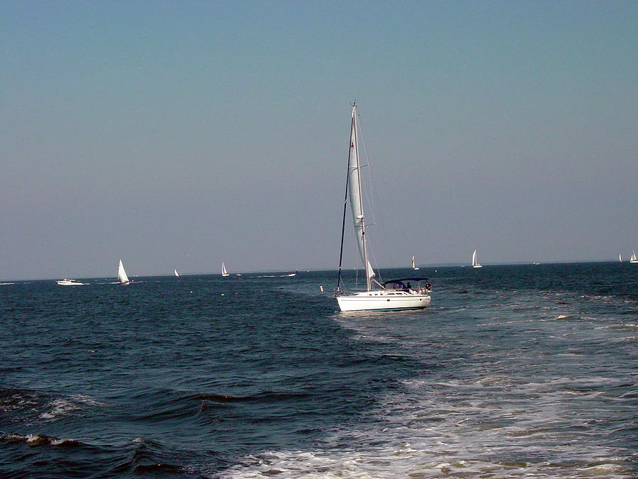 Sail Boats in Chesapeake Bay Photograph by Dorothy Maier