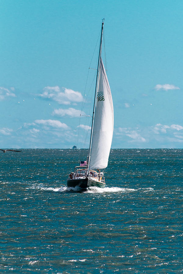 Sail Photograph