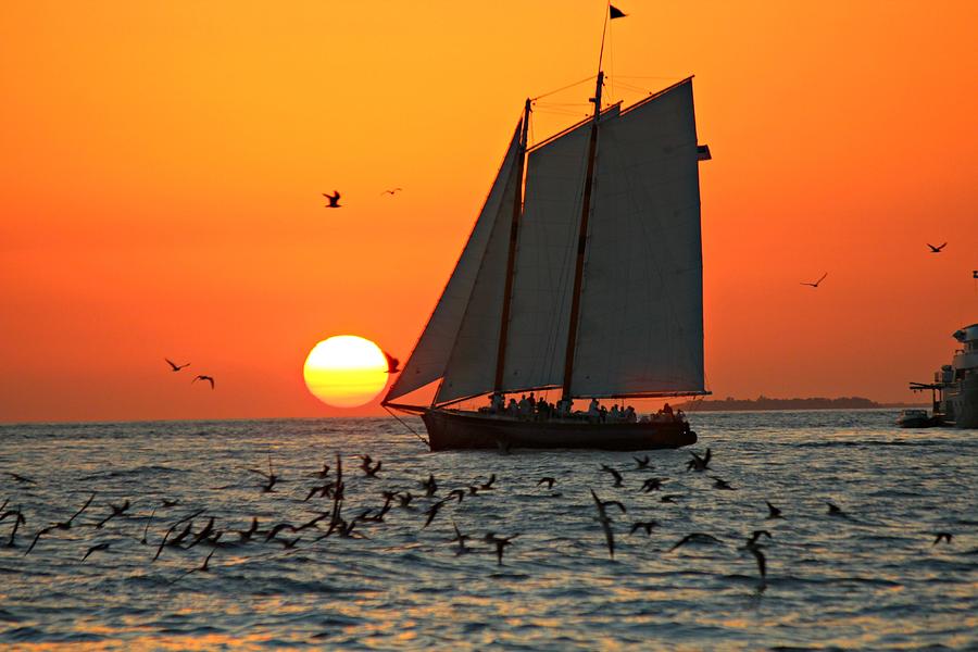 Sail into the Sunset Photograph by Jo Sheehan