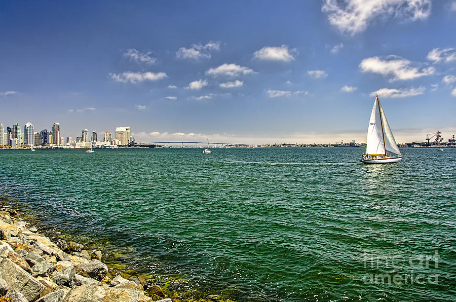 Sail San Diego Bay Photograph by Baywest Imaging - Fine Art America