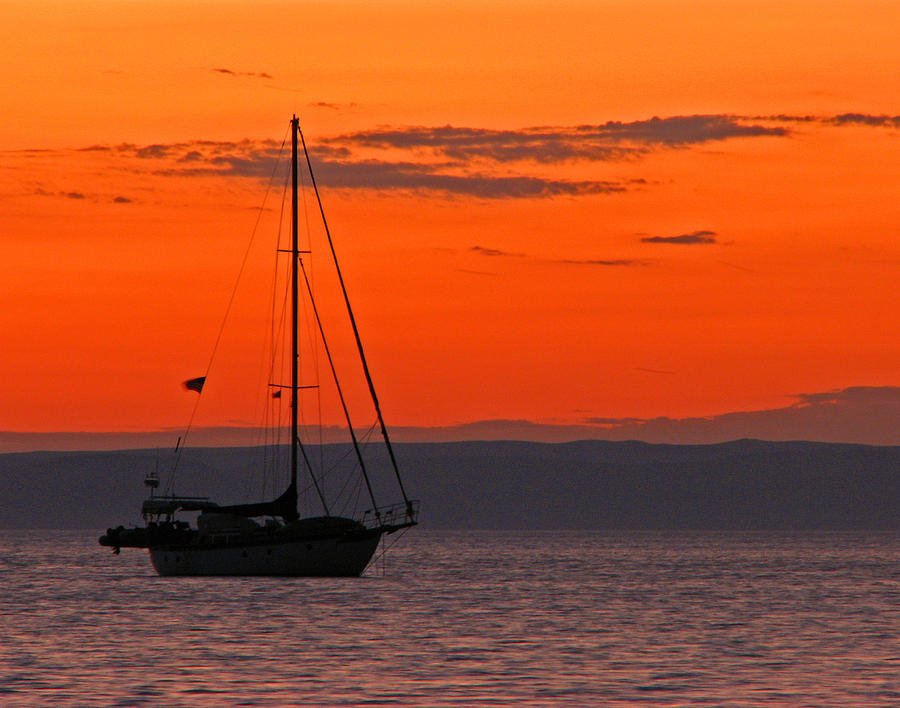 Sailboat at Sunset Photograph by Marcia Socolik