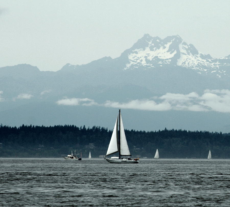 Sailboat Photograph by Cheryl Boyer