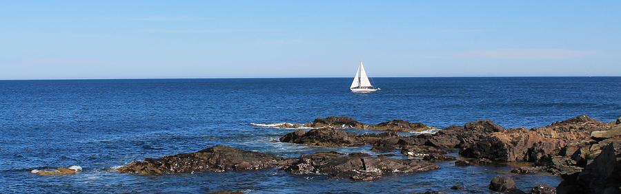 Sailboat from Marginal Way Photograph by Michael Saunders