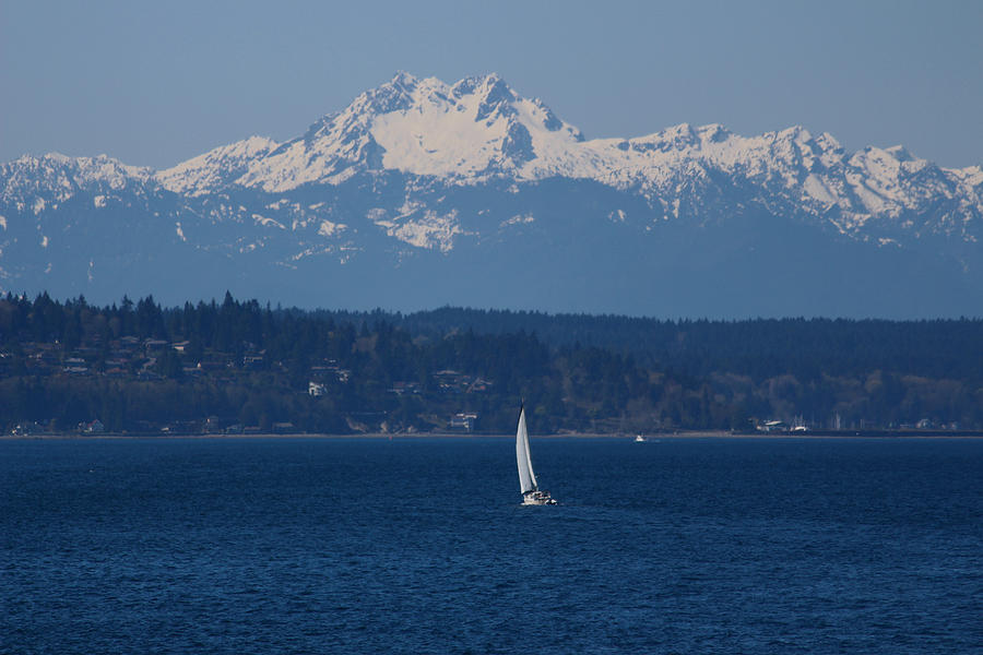 Sailboat Has Perfect View Photograph by Kym Backland