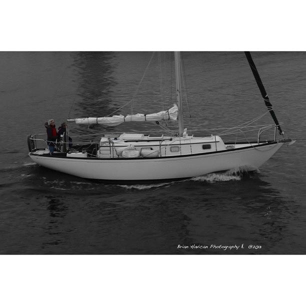 Sailboat Heading Out On Lake Michigan Photograph by Brian Havican