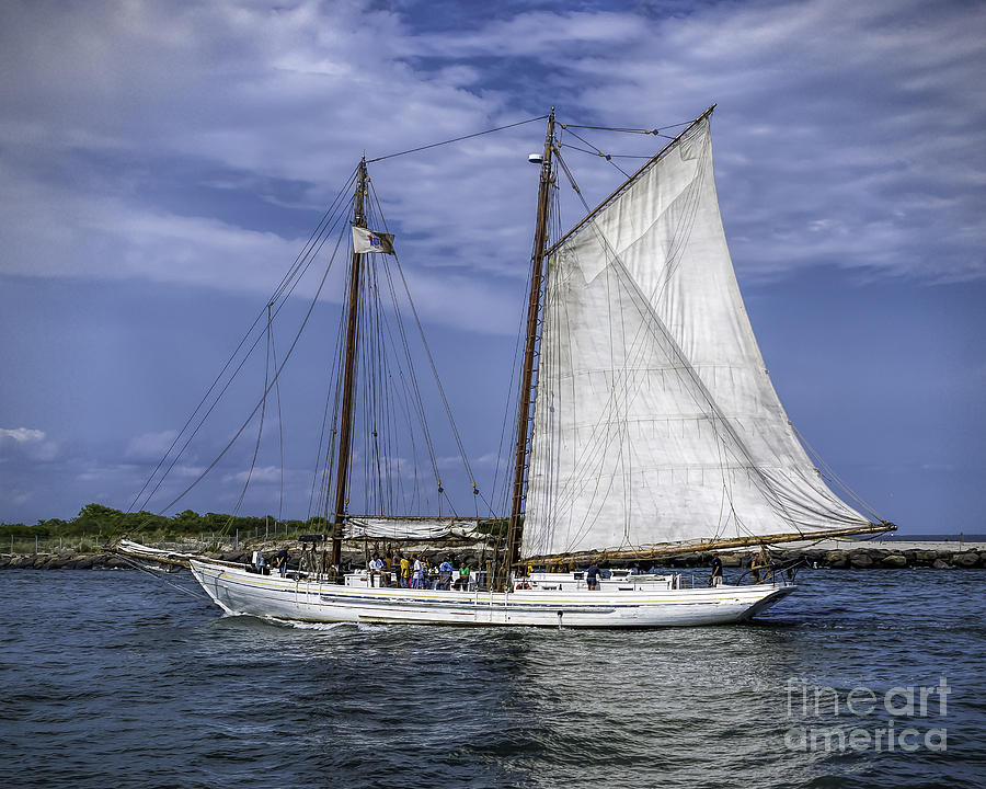 Summer Photograph - Sailboat in Cape May Channel by Nick Zelinsky Jr
