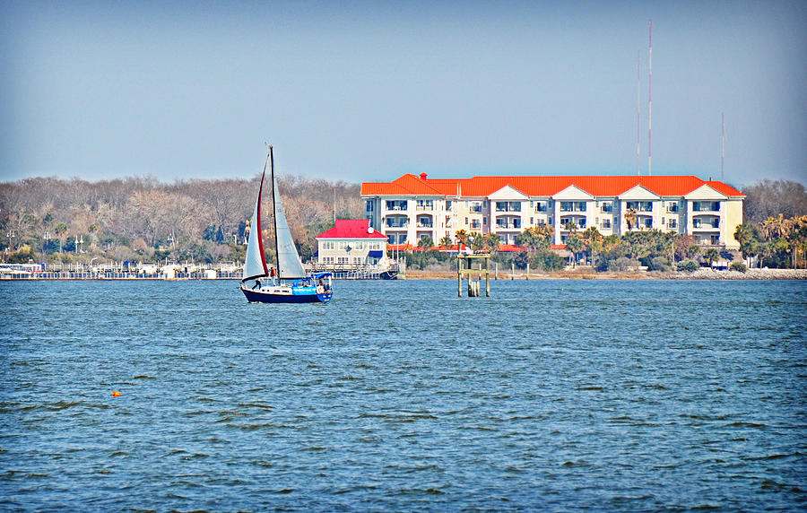 Sailboat in the Harbor Photograph by Linda Brown