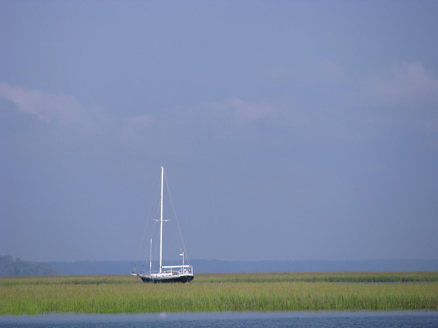 Sailboat in the Marsh Photograph by Ellen Meakin