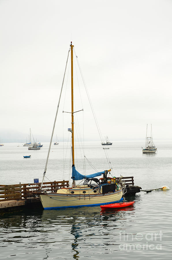 Sailboat in the Misty Morning Photograph by Debra Thompson