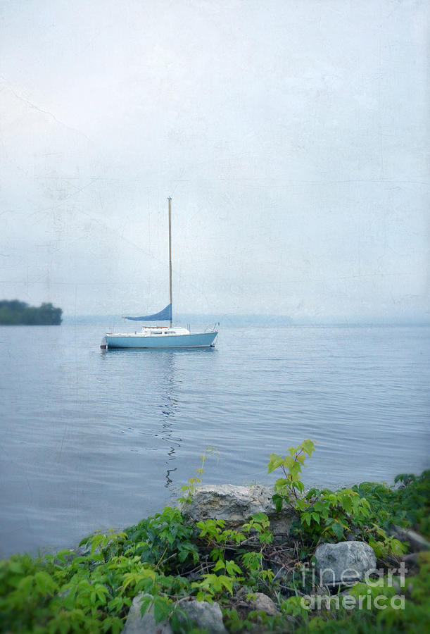 Sailboat Photograph by Jill Battaglia