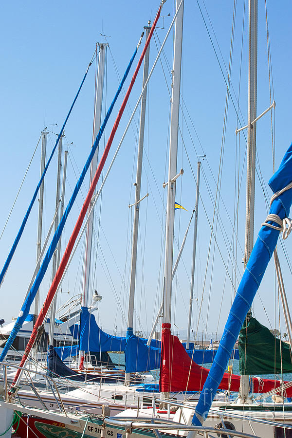 Sailboat Masts Photograph by Artist and Photographer Laura Wrede