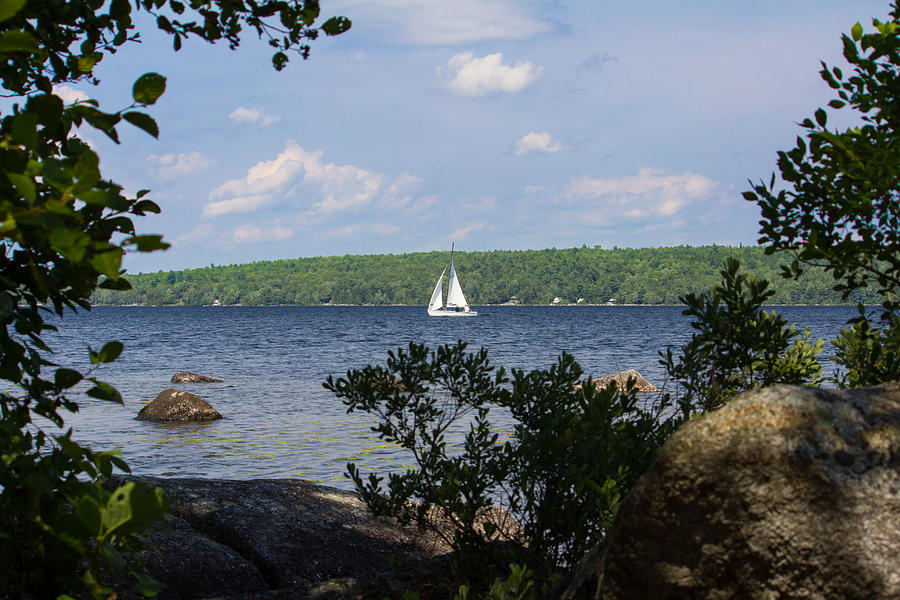 Sailboat on Branch Lake Photograph by Kirkodd Photography Of New England