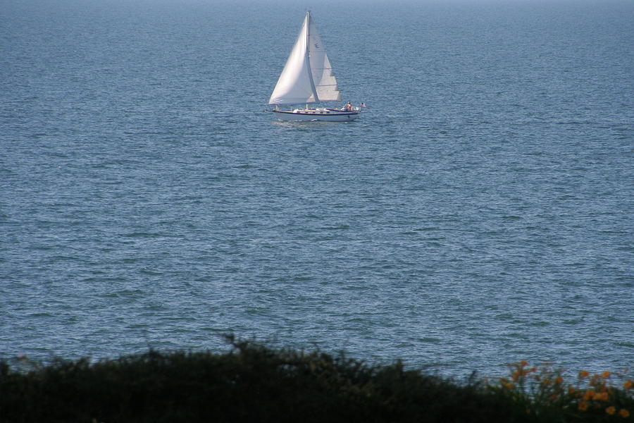 Sailboat on Lake Erie Photograph by Valerie Collins