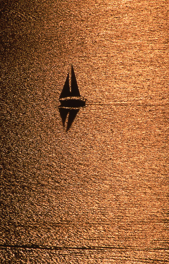 Sailboat on Lake Travis in Texas Photograph by Mark Langford