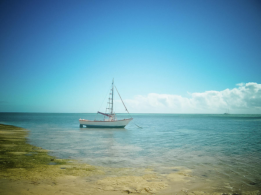 Sailboat On Shore Photograph by Christopher Kimmel