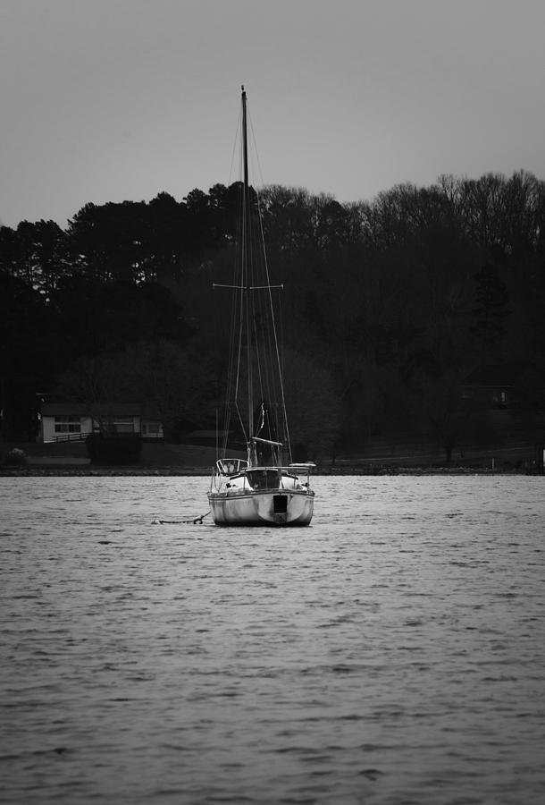 Sailboat on the Water Photograph by Sharon Popek