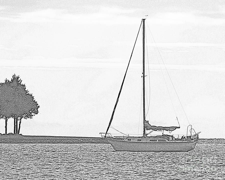 Sailboat Photograph - Sailboat - pencil by Bren Thompson
