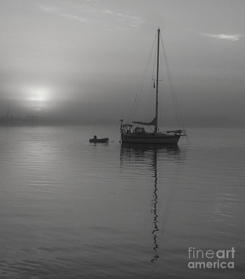 Sailboat Reflection In Black And White Photograph by Bob Sample