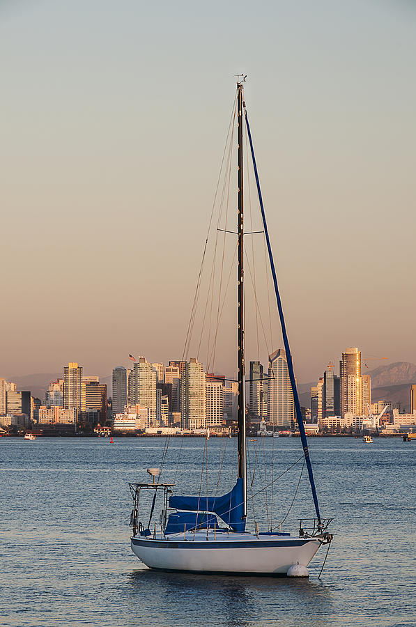 Sailboat San Diego Skyline Photograph by Lee Kirchhevel