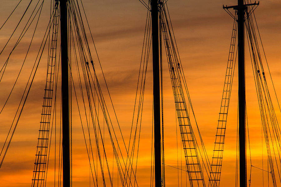 Sailboat Sunrise Photograph by Steven Bateson