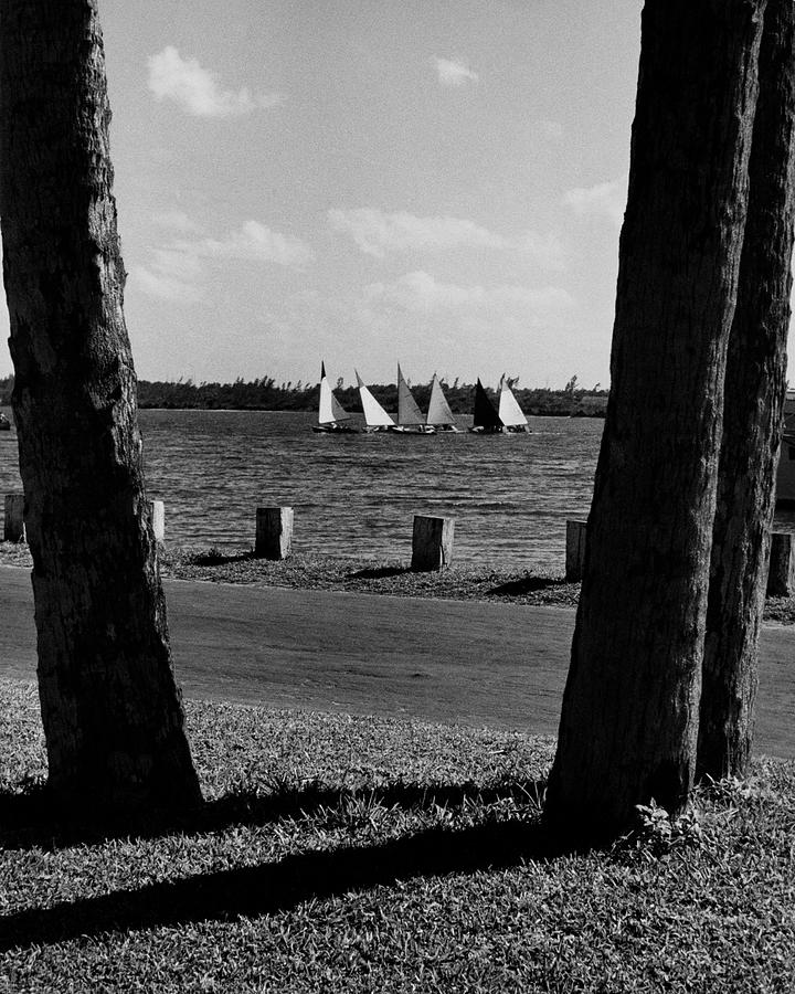Sailboats At Jupiter Island Photograph by Serge Balkin