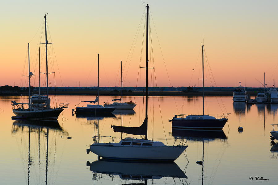 Sailboats at Sunset Photograph by Dan Williams