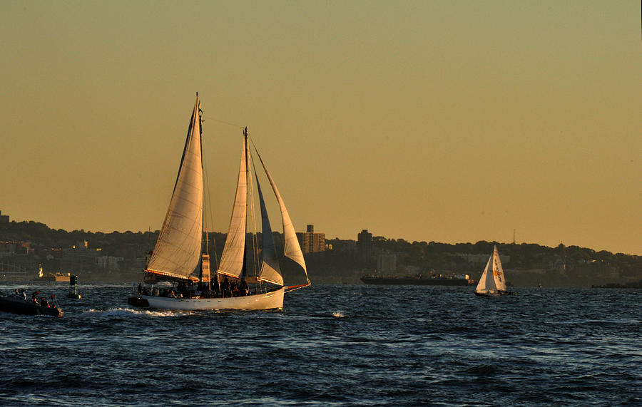 Sailboats at Sunset Photograph by Diane Lent