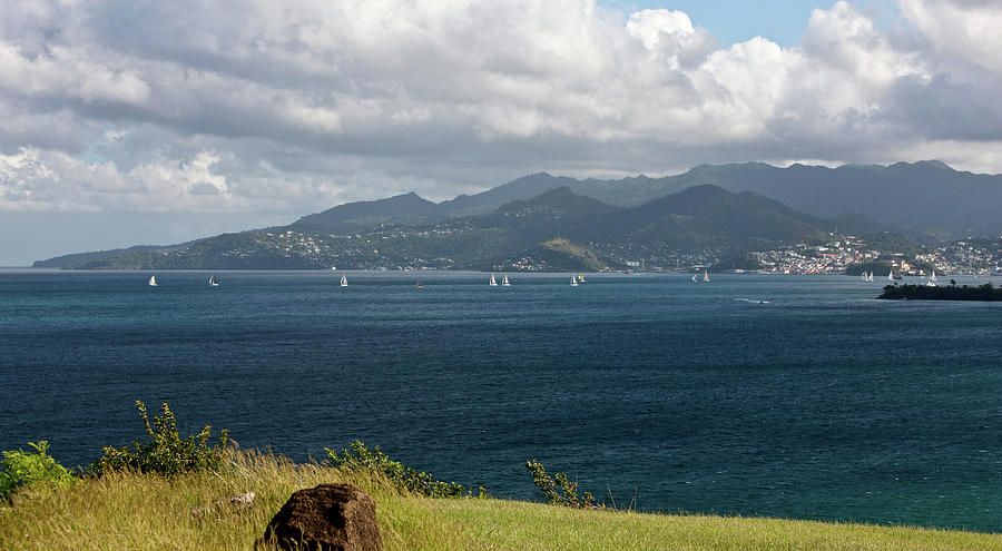 Sailboats Competing In The Grenada Photograph by Panoramic Images