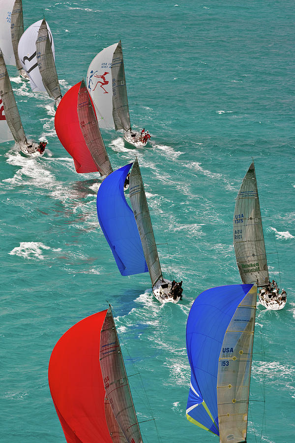 sailboats in miami
