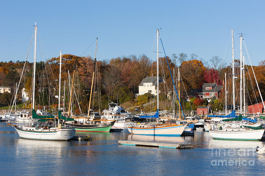 Sailboats in Camden Harbor I Photograph by Clarence Holmes