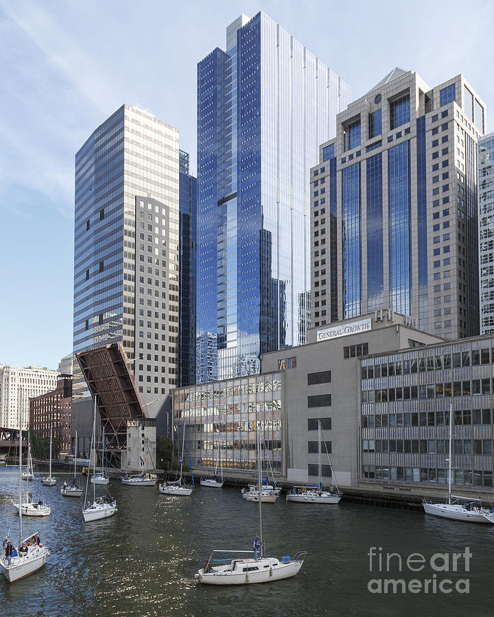 sailboats in chicago