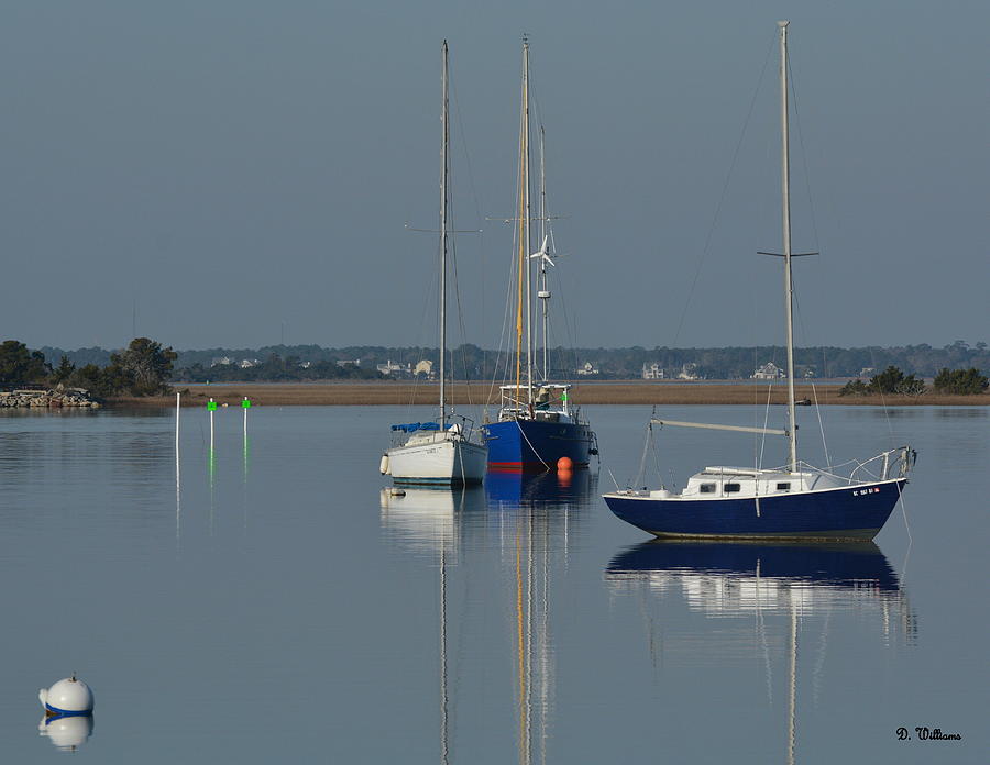 Sailboats in the Marina Photograph by Dan Williams