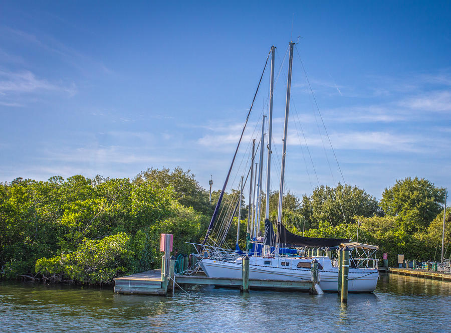 Sailboats in the marina Photograph by Jane Luxton