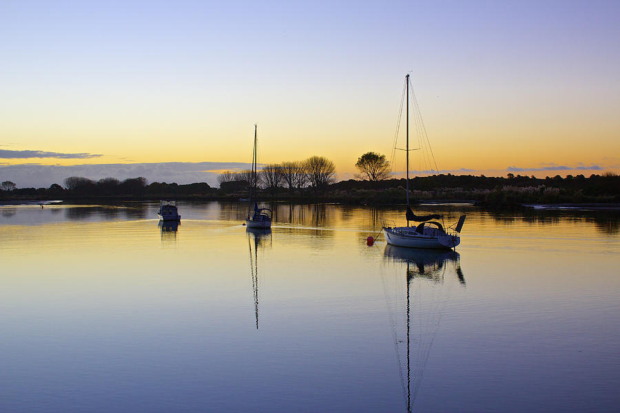 Sailboats in Whakatane, NZ at Sunset Photograph by Venetia Featherstone-Witty