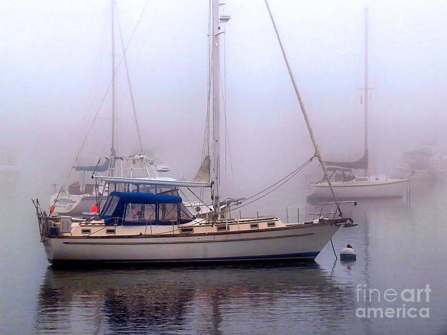 Sailboats on a Foggy Day Photograph by Janice Drew