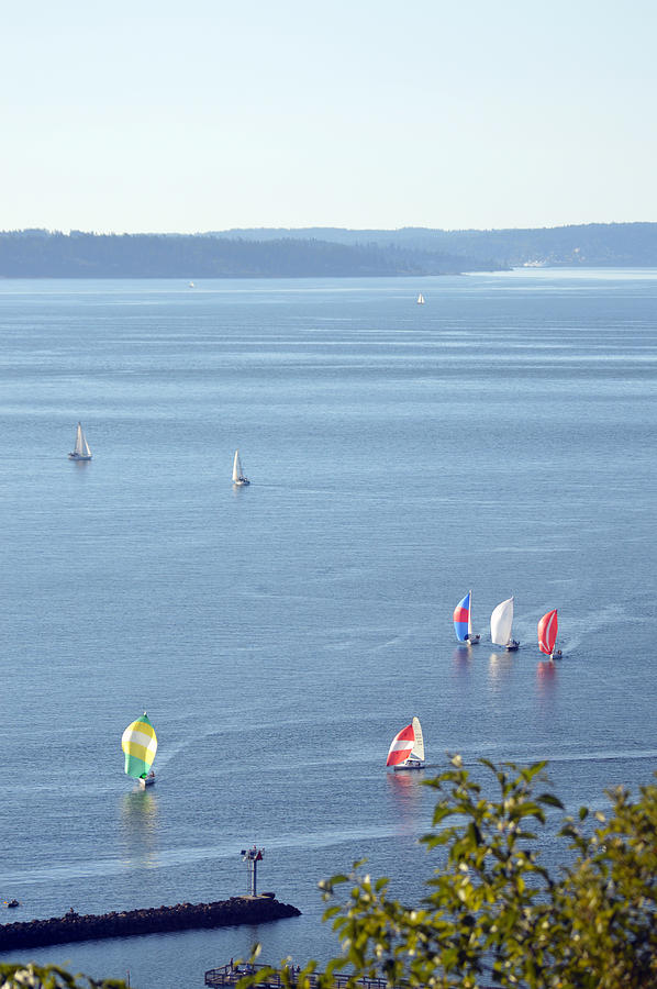 Sailboats on Puget Sound 2014 Photograph by Carol Eliassen