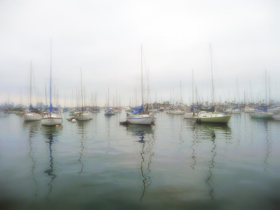 Sailboats on San Diego Bay Photograph by Gigi Ebert