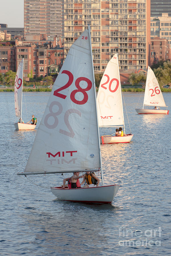 Sailboats on the Charles River I Photograph by Clarence Holmes