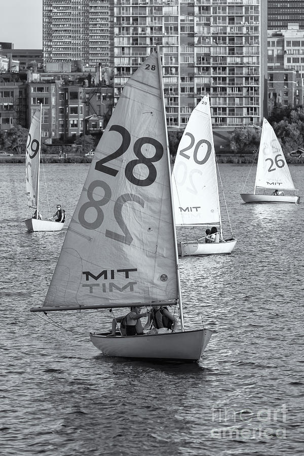 Sailboats on the Charles River II Photograph by Clarence Holmes