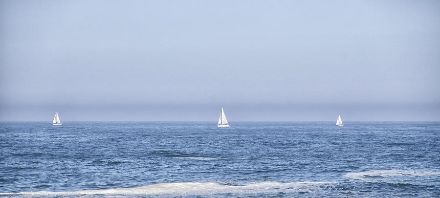 Sailboats Photograph by Paulo Goncalves