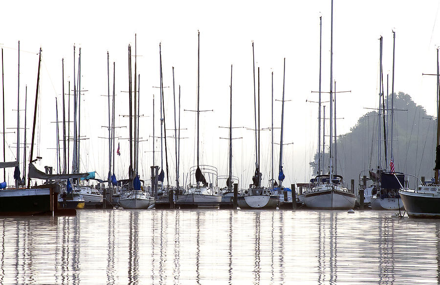Sailboats Reflected Photograph by Sharon Popek