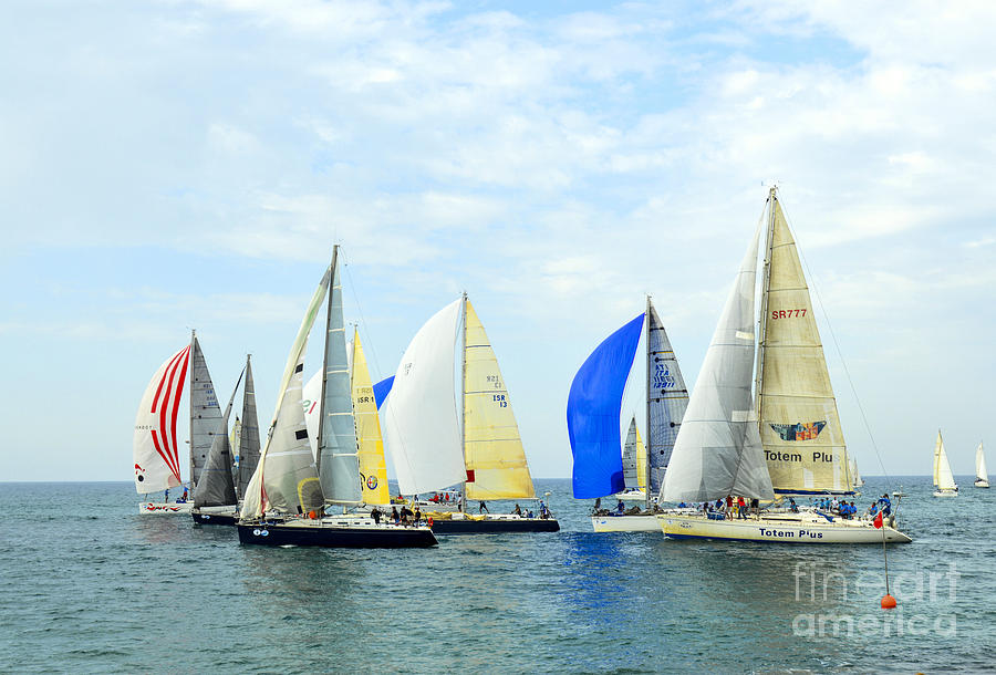 Sailboats  Photograph by Tomi Junger