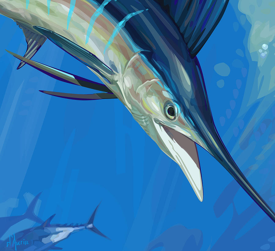 SailFish Detail Digital Art by Tom Dauria - Fine Art America