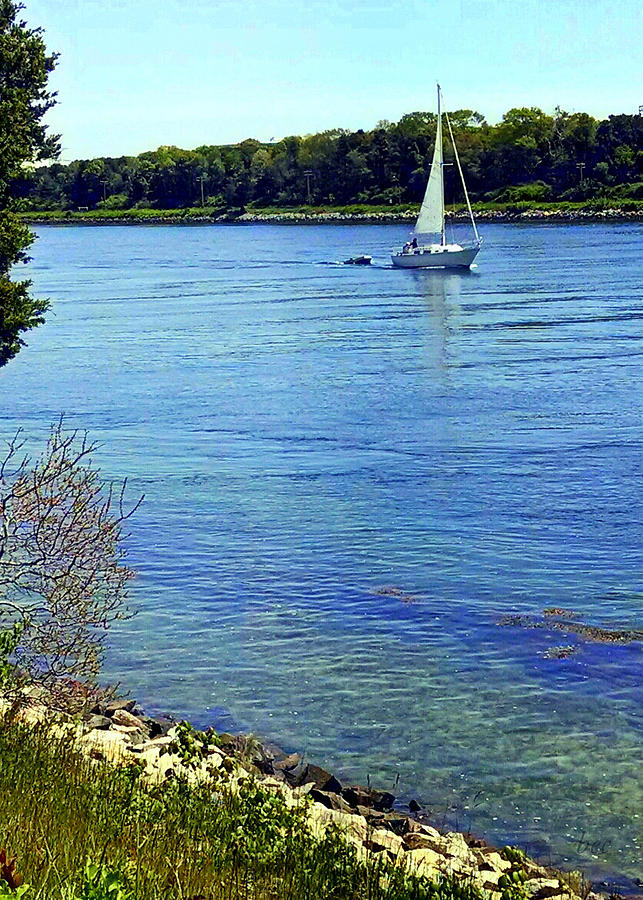 Sailing along the Cape Cod canal Photograph by Bruce Carpenter